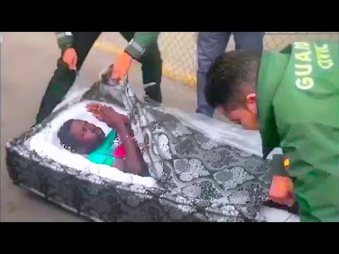 15 Craziest Things Found By Airport Security