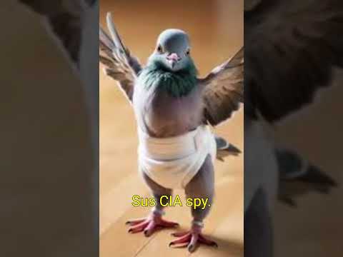 "Pigeons Are Secretly SIGMA? (GYAT Dayum) 🐦‍⬛😱 #StreetRizz #Shorts"