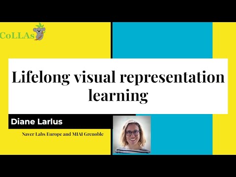 Lifelong visual representation learning - Diane Larlus - CoLLAs 2024