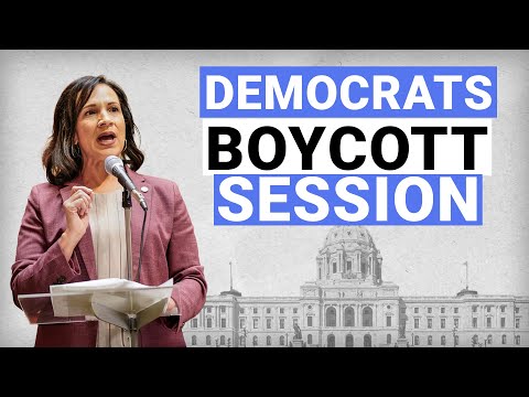 DEMOCRAT SHUTDOWN: Lisa Demuth and Harry Niska join media availability amid DFL Boycott