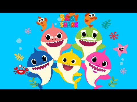 BABY SHARK FOR KIDS