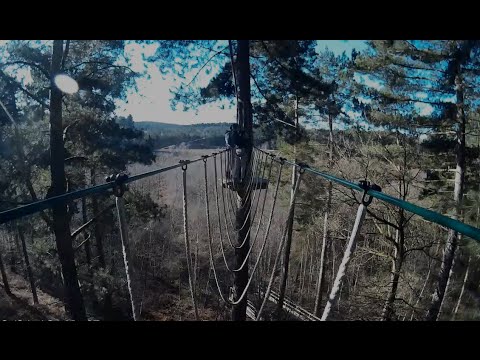 Go Ape Cannock Chase Tree Top Adventure