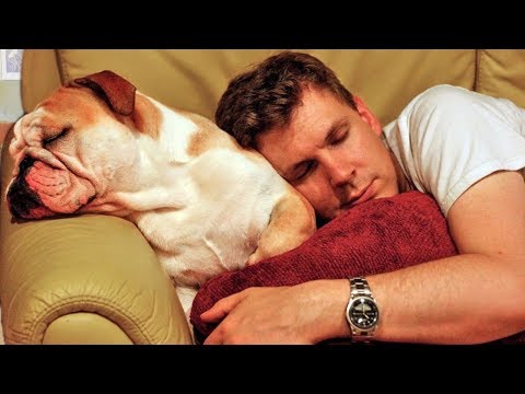 Dog Want Sleep in Owners Bed Compilation 2018