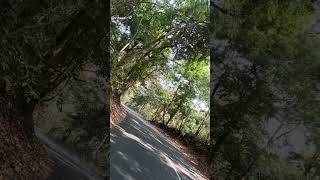 #nature #peace #rampachodavaram #pollutionsolution 🌳💚