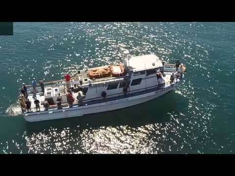 Phantom 2 Meets up with Fishing Boat 1 km Offshore