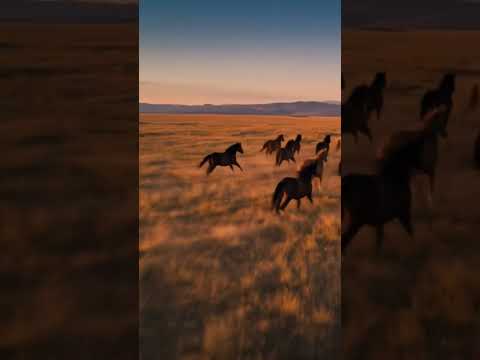 #heenaprajapati  #nature #dutydutydamdam #secondmarriage