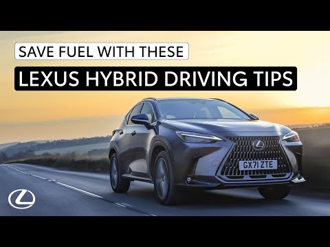 Save Fuel with These Hybrid Driving Tips From Lexus