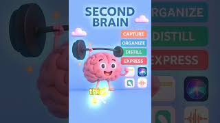 5 Apps I Use to Build My Second Brain