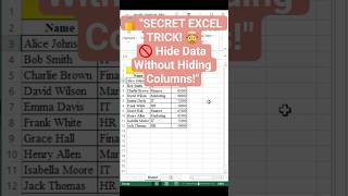 How to Hide Data in Excel Without Hiding Columns | Secret Excel Tricks