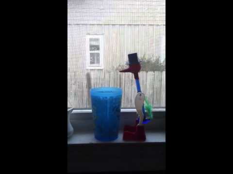 Drinking bird