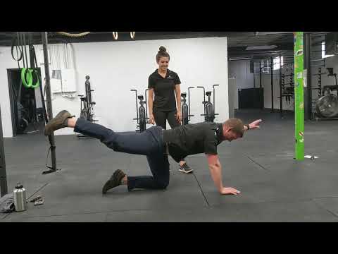 Working from Home -- Back and Core Stability