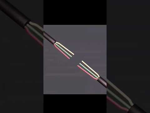 Electric joint