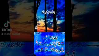 The Only Owner (and the Only Ruling Judge) of the Day of Recompense (i.e. the Day of Resurrection)
