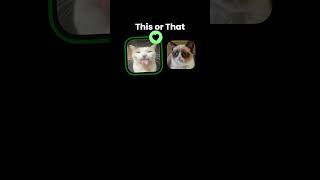 Grumpy Cat #grumpycat #cat #trend #viralvideo #fyp #shorts