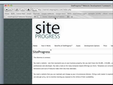 SiteProgress™ - Lower Area Options (Home Page) Tutorial