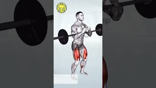 The correct way to perform the Barbell Zercher Squat