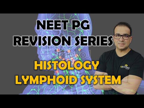 NEET PG- HISTOLOGY OF LYMPHOID SYSTEM