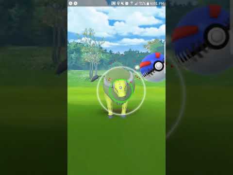 Shiny Tauros caught in Pokemon go