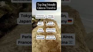 🌍✈️ Top Dog-Friendly Cities to Visit Worldwide! 🐕 #travelwithdog #dogfriendlytravel