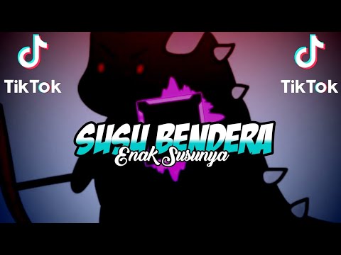 DJ SUSU BENDERA X ENAK SUSUNYA VIRAL TIK TOK