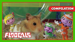 Mission: Animals & Food | Floogals | 35+ MINUTE Compilation