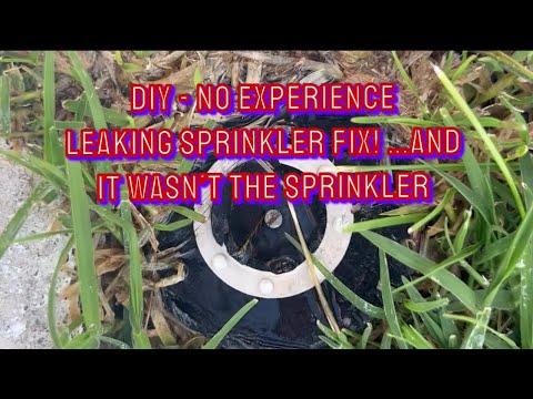 DIY - Fixed my leaky sprinkler for $20 (and it wasn’t the sprinkler). Easy, first-time trying.