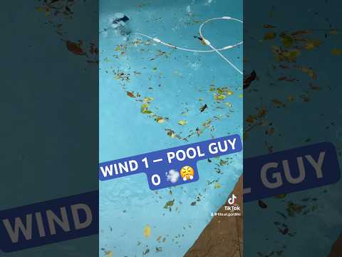 LEAF INVASION: BEFORE & AFTER 🍃🔥 #PoolGuy #BeforeAndAfter #LeafAttack #SatisfyingClean #WindVsPool