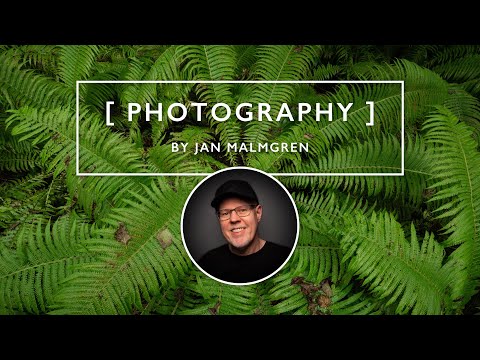 Why I brought only ONE lens to this woodland stream | GFX 100 II and GF 20-35mm