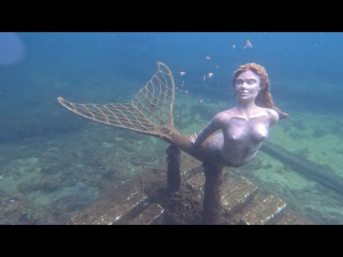Dive trip to Busselton Feb 2024