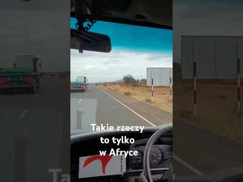 Takie rzeczy to tylko w Afryce ;)