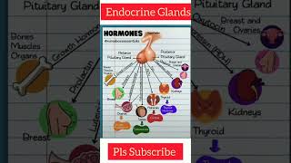 #endocrinegland #hormones #chemicalcoordination #zoology #zoologyfacts