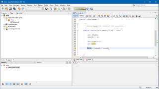 Netbeans   Variables and data types
