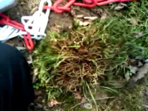 Weird "Deep" Geocache