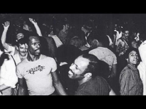 Pogo - Rise & Glide