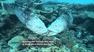 Spirit of Freedom Diving Expedition