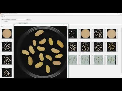 Photomeasure (Seeds Feature Extraction)