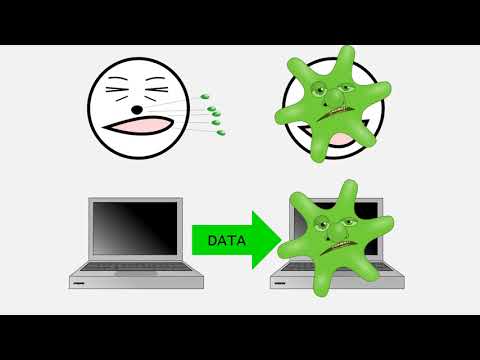Cyber Security Full Course for Beginner