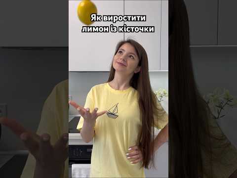 Як виростити лимон із кісточки 🍋 #shorts #lemon #лимон #home #plants #fruit