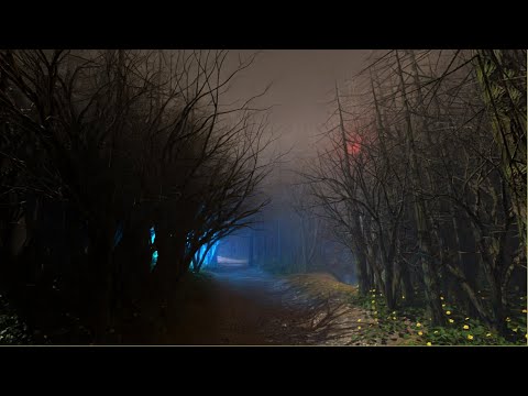 Quickly Create Secret Woodlands in Blender