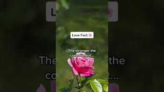 Psychology facts about love #shorts #lovefacts