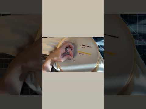 5 easy sewing stitches for embroidery by hand