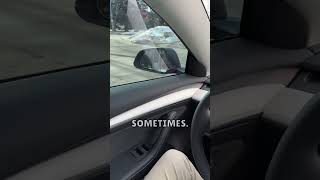 Is White Interior in Model 3/Y Worth the $1,000 Upgrade?? 🤔💰