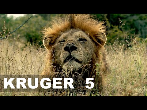 KRUGERS Timeless Gems: SKUKUZA - A Decade Compilation