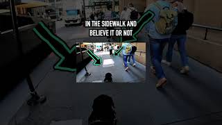 Guide Dog Skills in Action: Avoiding Obstacles in Downtown Chicago #guidedog