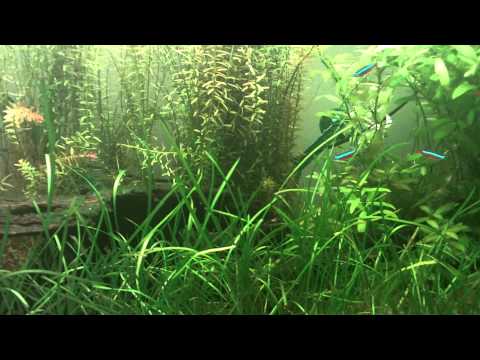 Playsport - Aquarium from the outside