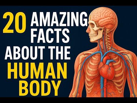 YOU WON'T BELIEVE These 20 INSANE Facts About YOUR Body! (Seriously)