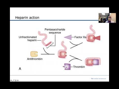 Anticoagulation in PCI - Karthik Murugiah - Oct 14 2020
