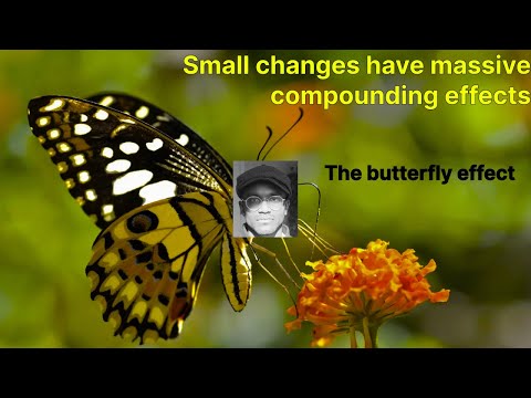 the butterfly effect