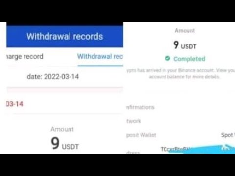 earn 10 usdt daily to your wallet web tamer