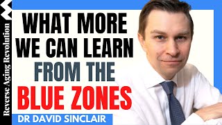 What More We Can Learn From The BLUE ZONES | Dr David Sinclair Interview Clips